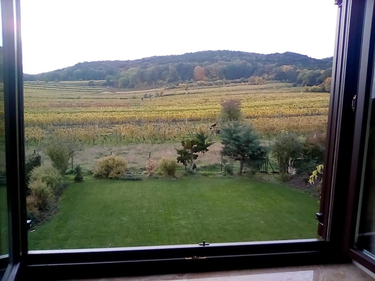 Top Over Vienna, Perchtoldsdorf Weinberge Ideal With Car Lejlighed Eksteriør billede