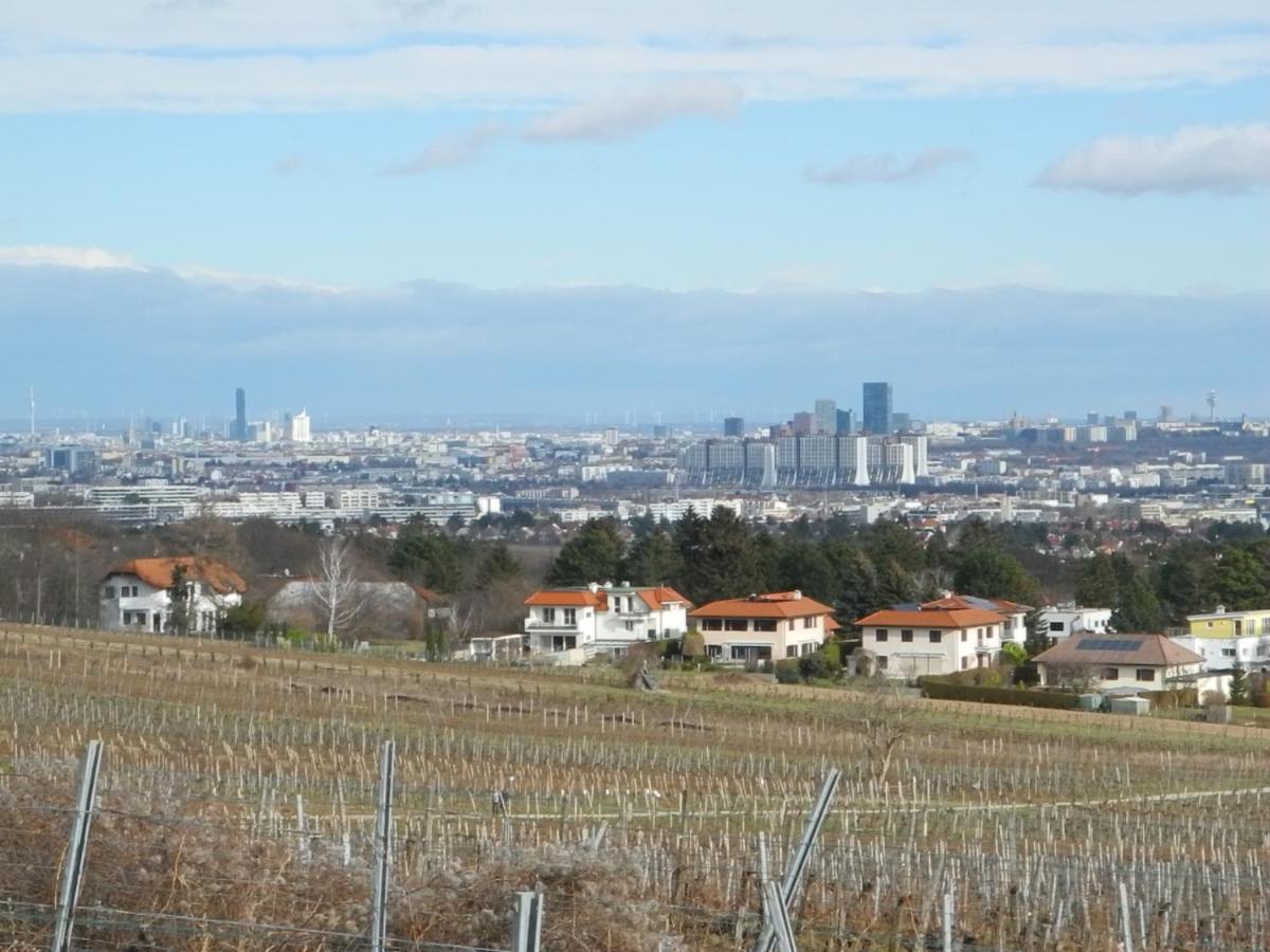 Top Over Vienna, Perchtoldsdorf Weinberge Ideal With Car Lejlighed Eksteriør billede