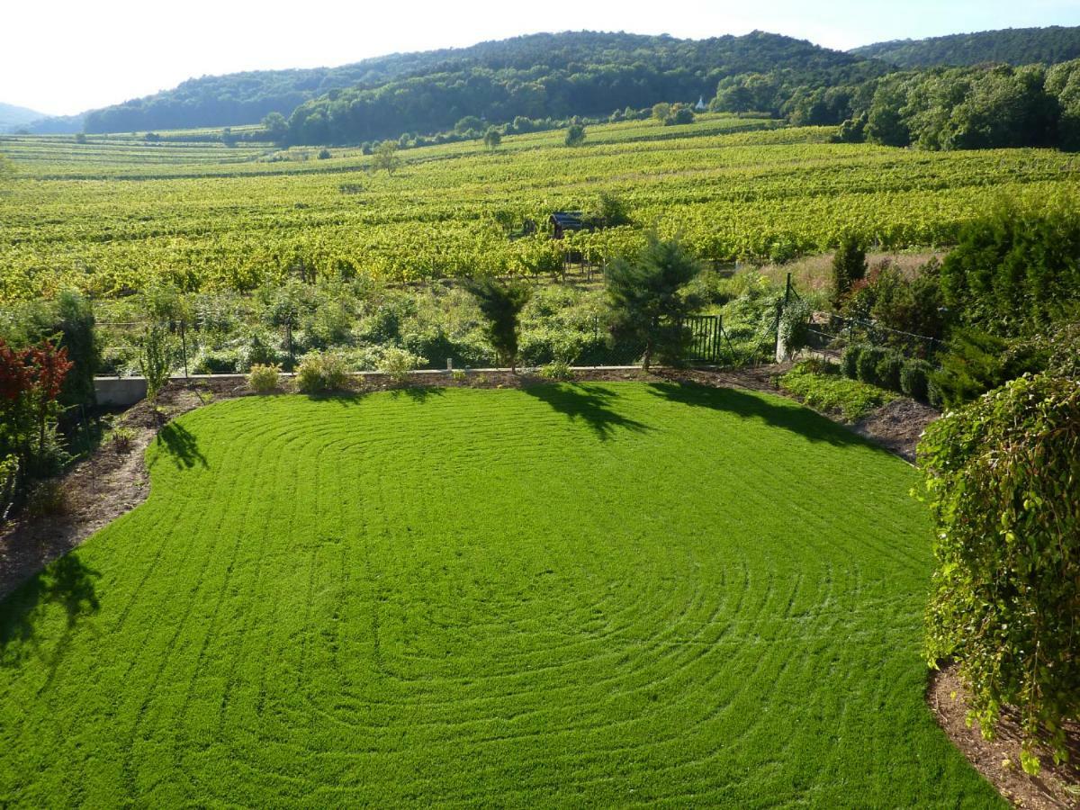 Top Over Vienna, Perchtoldsdorf Weinberge Ideal With Car Lejlighed Eksteriør billede